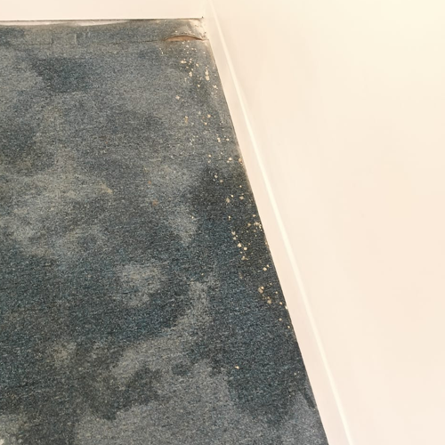 Samrath Cleaning Services